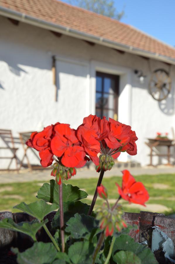 Szent Iván Vendégház Hotel Tata Kültér fotó